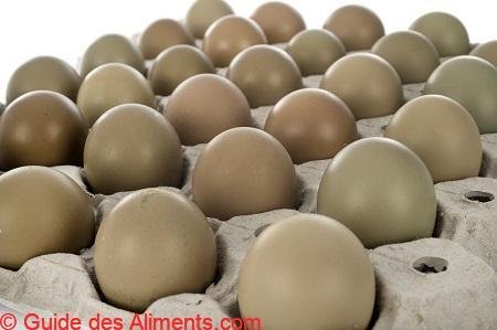 Oeuf de faisan