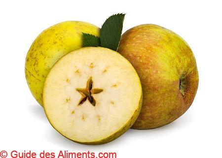 Pomme Reine des reinettes