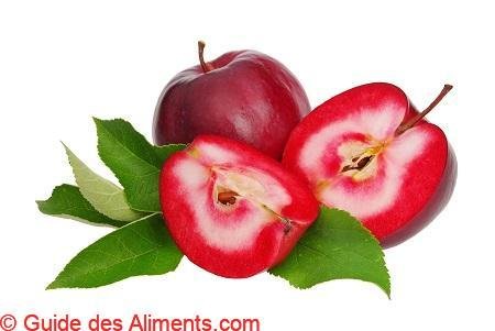 Pomme Circe