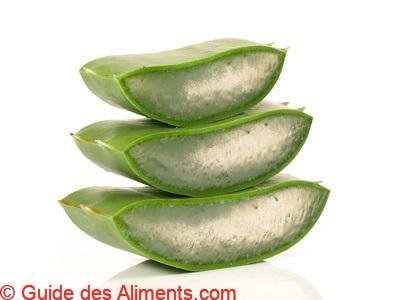 Aloe Vera
