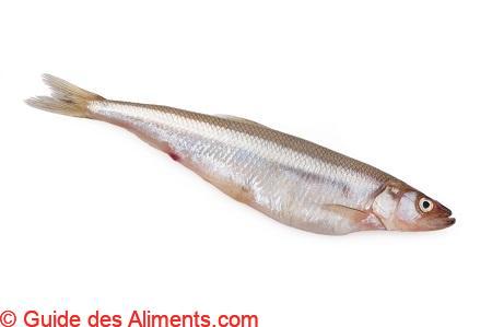 Cor&eacute;gone blanc