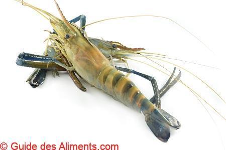 Macrobrachium rosenbergii)