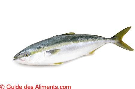 S&eacute;riole du Japon