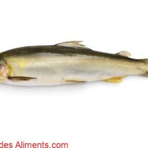 ayu&nbsp;(Plecoglossus altivelis)