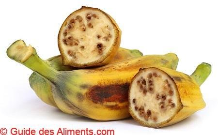 Banane Musa balbisiana