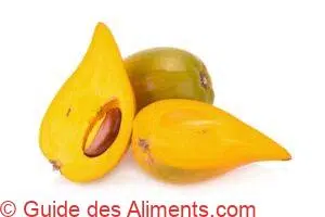 canistel