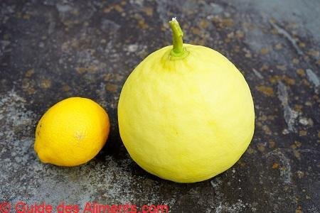 Citron Ponderosa