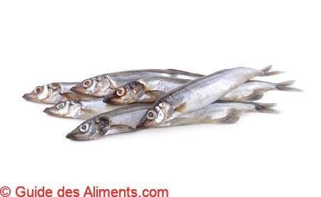 shishamo