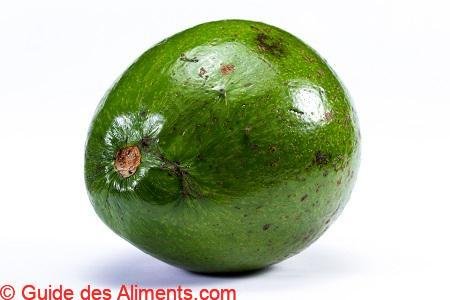 Avocat Reed