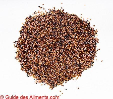 Chenopodium pallidicaule