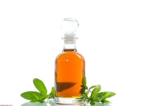 sirop de menthe