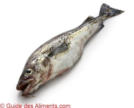 Colin d'Alaska (Theragra chalcogramma) ou Lieu d'Alaska, Goberge de l'Alaska (Canada)