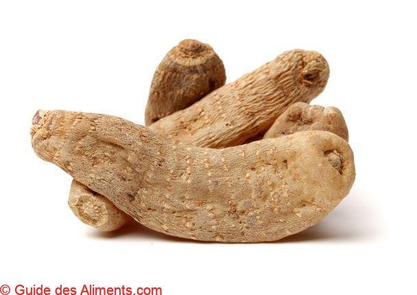 Gastrodia elata