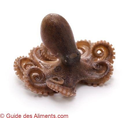 Iidako japonais (poulpe ocellé)