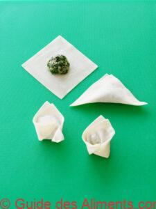wonton