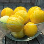 concombre citron