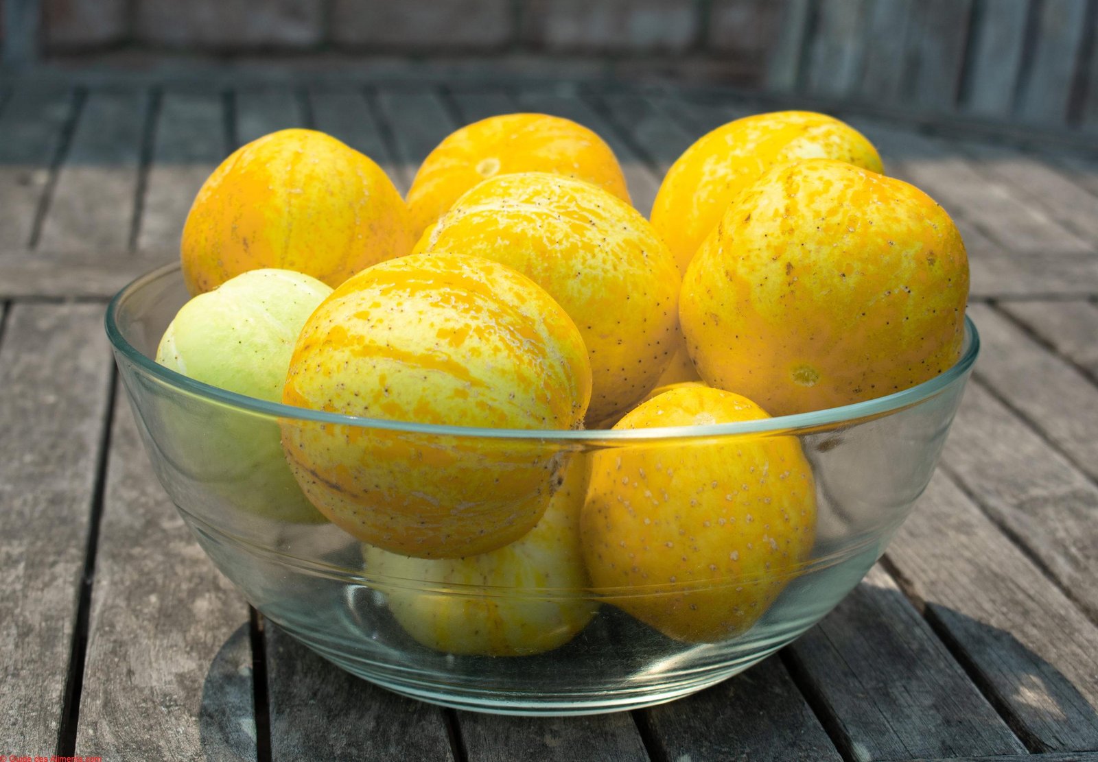 concombre citron