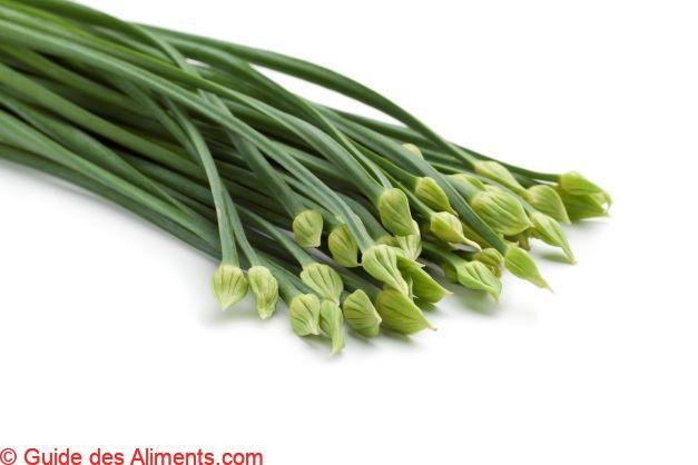 Allium tuberosum