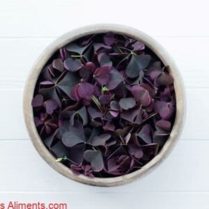Oxalis acetosella