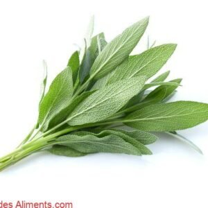 Salvia officinalis