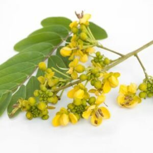 Senna siamea
