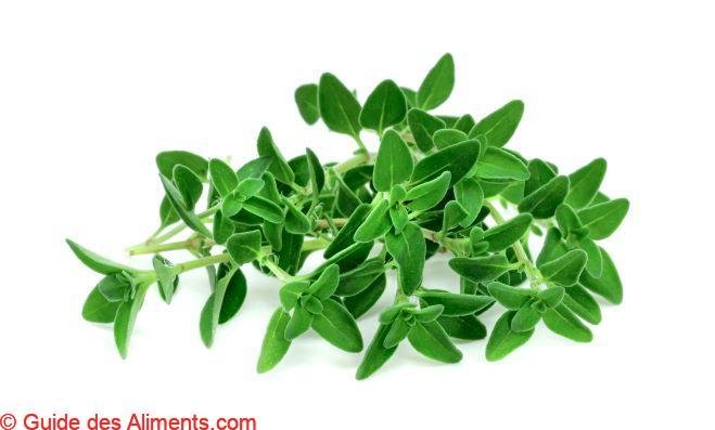 Thym citron