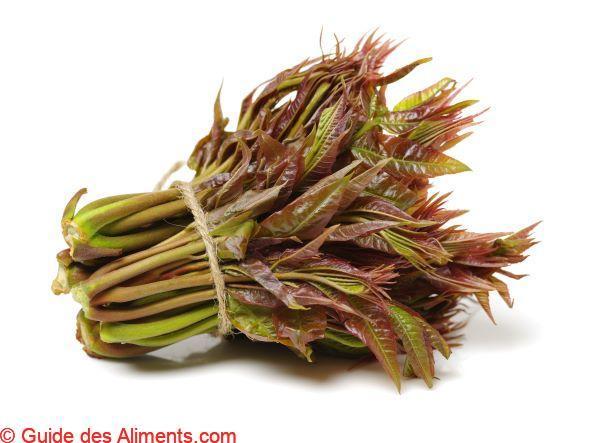 Toona sinensis