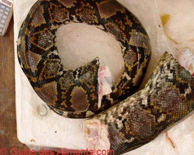 serpent