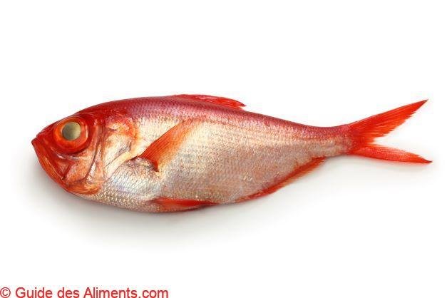 Beryx decadactylus