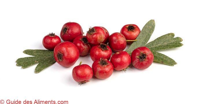 Crataegus azarolus