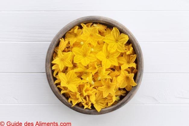 Fleur de concombre