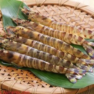 Marsupenaeus japonicus