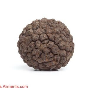 Tuber melanosporum