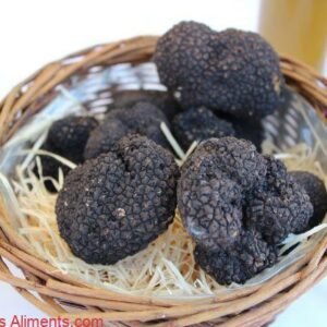 Tuber mesentericum