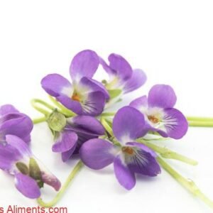 Viola odorata