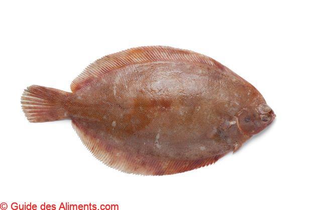 limande sole Microstomus kitt