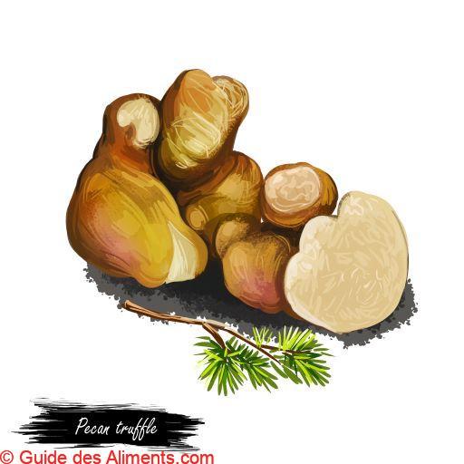 truffe noix de pécan