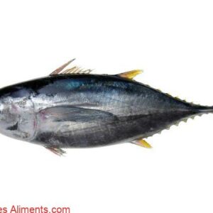 Thon rouge du Pacifique