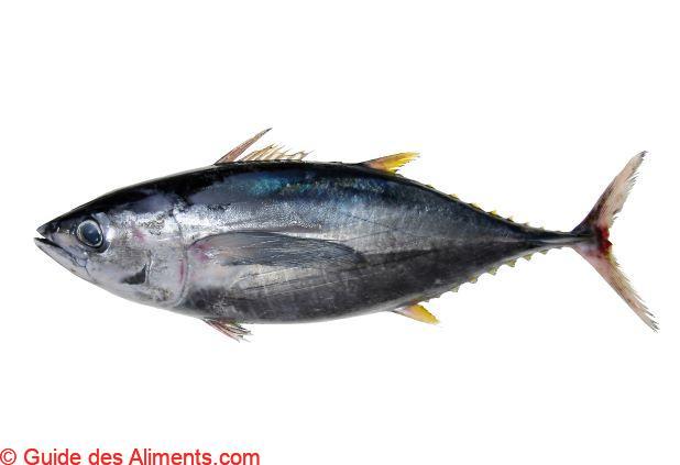 Thon rouge du Pacifique