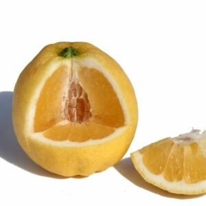 Lemonade (agrume)