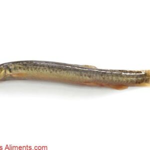 Loche barom&egrave;tre