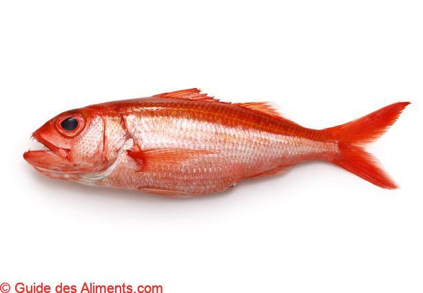 vivaneau rouge d'eau profonde