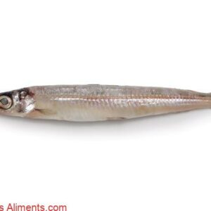 Nigisu (&eacute;perlan des profondeurs)