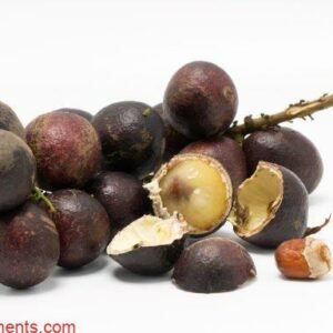 Pometia pinnata