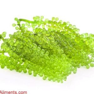 Caulerpa lentillifera