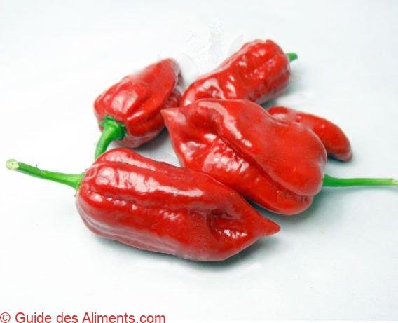 Habanaga