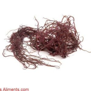 Ogonori - Red algae - Gracilaria