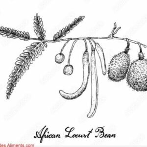 Parkia biglobosa