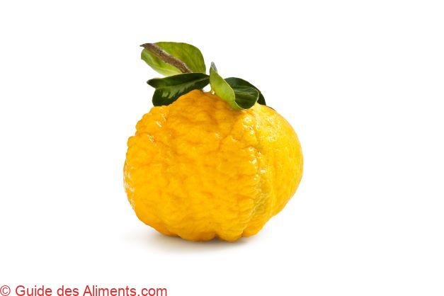 Pompia