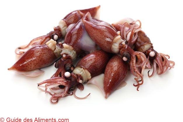 Calmar luciole